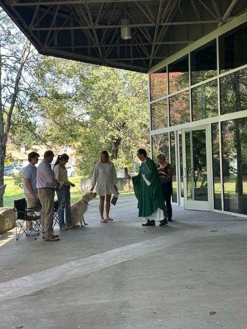 Blessing of the Animals