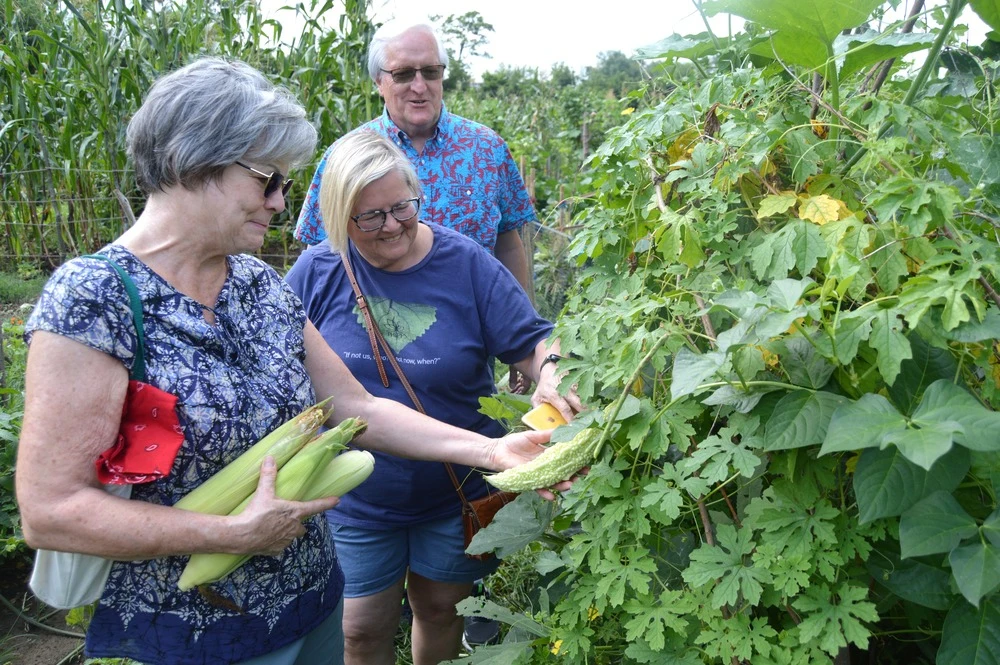 Community Gardens at St. Ignatius